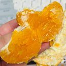 에스티엔씨오에프에프이이 | 2웛을 낉여오걸아