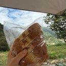 회문랜드 이미지