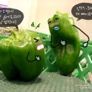 사진동화