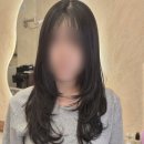 씨유 아산배방월천점 | 배방 월천미용실 하이레이어드펌 잘하는 데이케어헤어