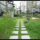 대원아파트산책로 이미지