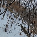 명숙수산 Daum카페