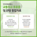 척척의원,한의원 이미지