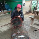 독도바다낚시터 이미지