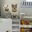 댕마트 네이버블로그
