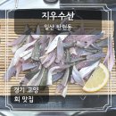 지우수산 | 일산 탄현 맛집 지우수산에서 신선한 가을전어 세꼬시 를 즐길 수 있는 탄현횟집!