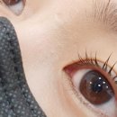 분당-170 이미지