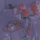 계산기 인생 086 (부제:나는 가을이 좋은데 벌써 겨울이야)