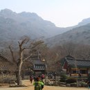 노블파크아파트 버스정류소 이미지