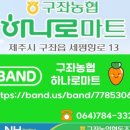 제주 동쪽 세화 구좌농협 하나로마트, 한 달 살기용 마트 최애 예약 완료!