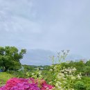 동홍로99번길 이미지