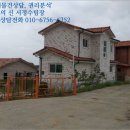 세교초교 사거리 이미지