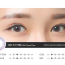 세종수지 이미지