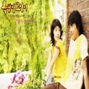 옥탑방 고양이 이미지