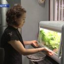 인기농장 이미지