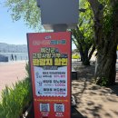 응봉면갈대꽃커뮤니티센터 | [충남 예산] 아이와 가족과 가볼 만한 곳 | 예당호 출렁다리 정보