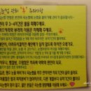 압구정역알파문구 | [압구정속눈썹샵/강남속눈썹샵 추천] 꿈꾸는 속눈썹