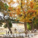 웰빙들밥상 | 1박 2일 경주 여행 코스 추천 :: 경주에서 놀자! 경북 여행 리포터 가을 소풍 1일차 후기