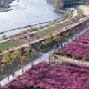 찬우물생태 이미지