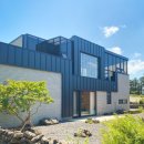 동광의계절 이미지