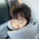 시  목 | 리빙미미 휴대용 목베게 장거리이동시 필수템 여행용목베게 후기