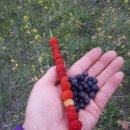 곡천민박 이미지