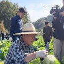 [델리민주] 👨‍🌾🥬 배추야 배추야 사람들이 널 기다리고 있단다🥬/김건희 여사가 아니더라도..(2024.10.17/18)) 이미지