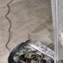 10년타기 정비센터 수유점 이미지