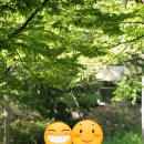 이월(2WOL) | 이월필름 서울 야외 웨딩 스냅 촬영 후기(준비물, 간식, 포즈 등)
