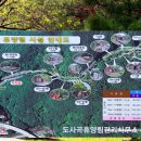 도사곡휴양림야영장 이미지
