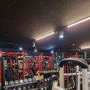 임팩트 화원점 이미지