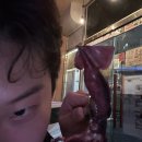 시워어언한 민트초코 물회가 땡기는 여름날 기록,,