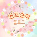 광주사우나 | 핀란드숲속 경기광주점 핀란드식 사우나 내돈내산 솔직 후기(예약, 가격, 주의사항, 이용시간 등)
