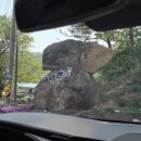 라라랜드 | 제천 애견동반 캠핑장 개별 울타리, 강아지 운동장까지 라라랜드 D4, D5 후기