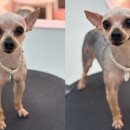 향기롭개 이미지