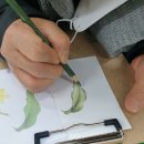 기초 보태니컬아트 이미지