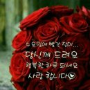 자연히 이미지