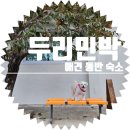 두리 민박 | [애견 동반 숙소] 강아지와 춘천 두리민박 2박 후기ㅣ나 여기 좋아ㅠ!!