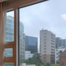 개와 사람(애견호텔) | 서울 애견동반 호텔 프레이저 플레이스 센트럴 호캉스 후기