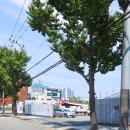 SK행복충전 부산에너지충전소 이미지