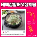 숫지다능이버섯갈비탕&삼계탕 | 수원 갈비탕 진한 국물 매력적인 매교역 맛집 태백상황버섯삼계탕