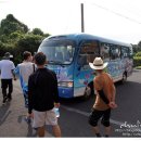 라파레이 이미지