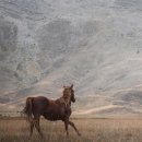 풍수지리(양택 / 주택) | [풍수지리책서평]건강과 행복을 부르는 풍수지리, 도원풍수지리카페 이재원교수님의 신간도서