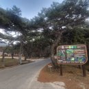 가온힐링문화체험연구소 이미지