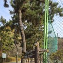 인천광역시 월미도 월미공원~월미산~월미바다열차~차이나타운 탐방/2025.11.23.일(고교동창 모임 1박2일, 2일차) 이미지