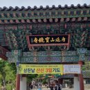 행복농장 | 포항 보경사 가는 길, 연등 가득한 봄 사찰 여행 (부처님 오신 날 추천)