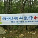 우째이런일이 이미지