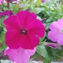 브레인어린이집 이미지