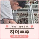 하이옥포 | 대구 실내동물원 하이주주 주말 방문 후기｜아이와 가볼 만한 신상 카페 동물원