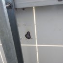 MS태양광발전소 이미지